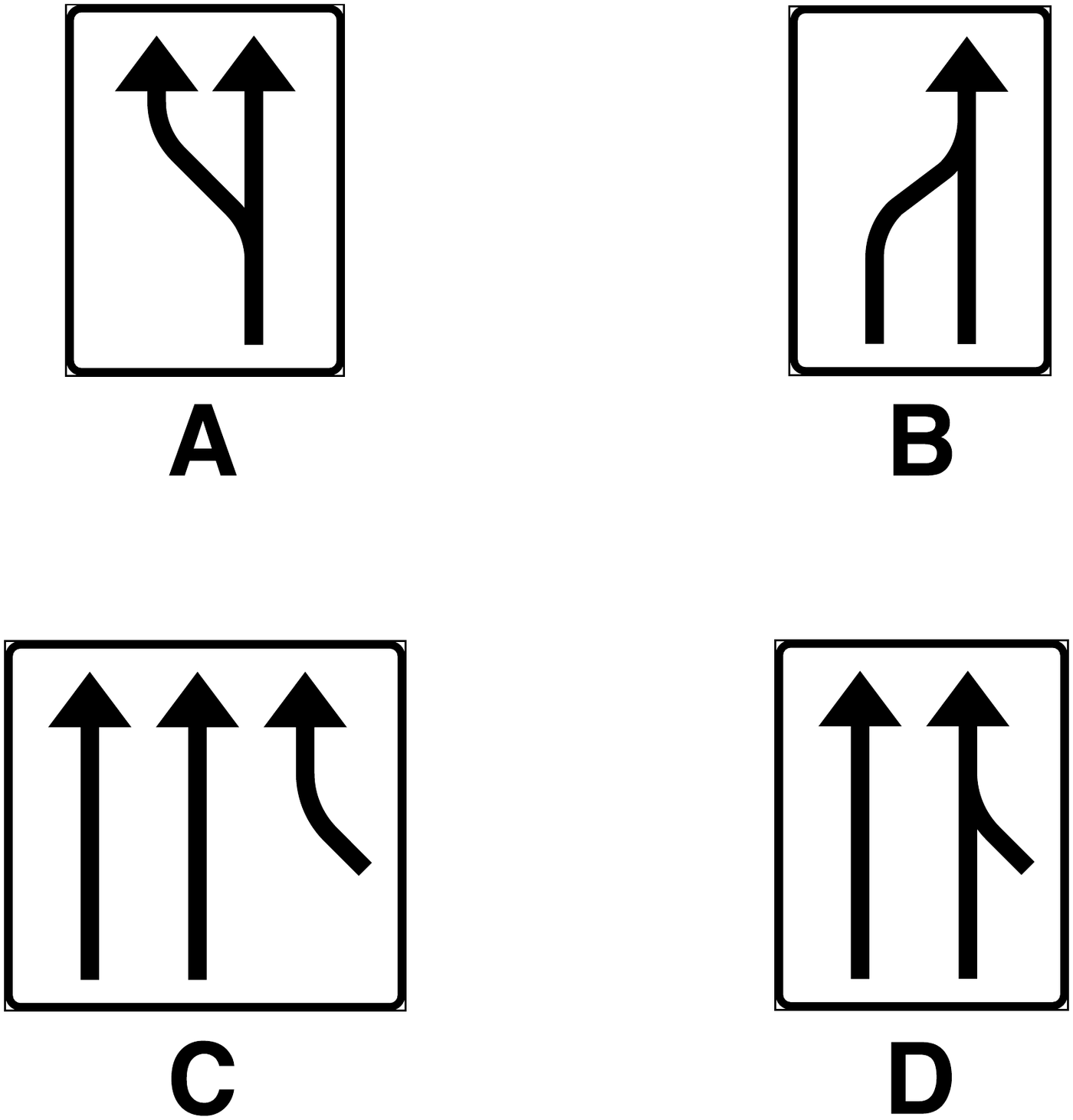 Picture for the question