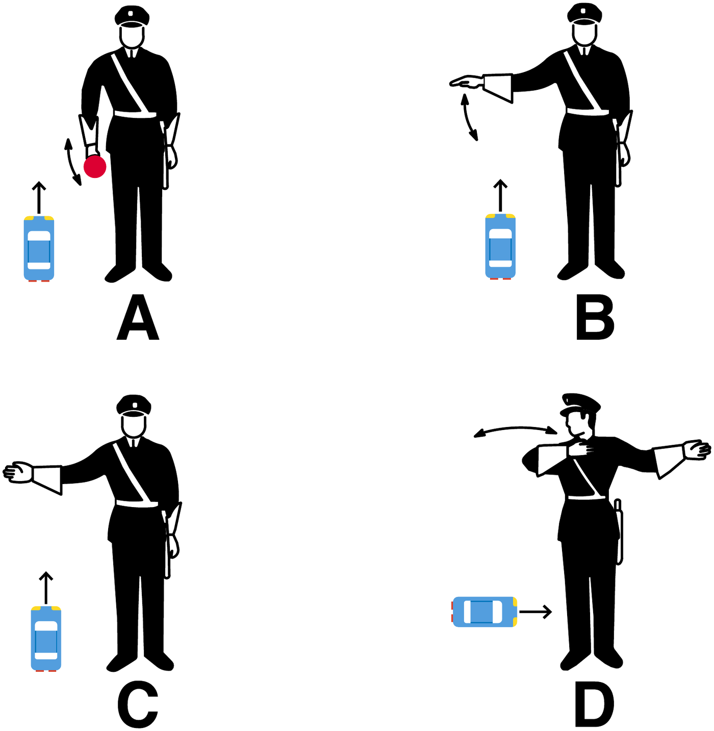 Picture for the question