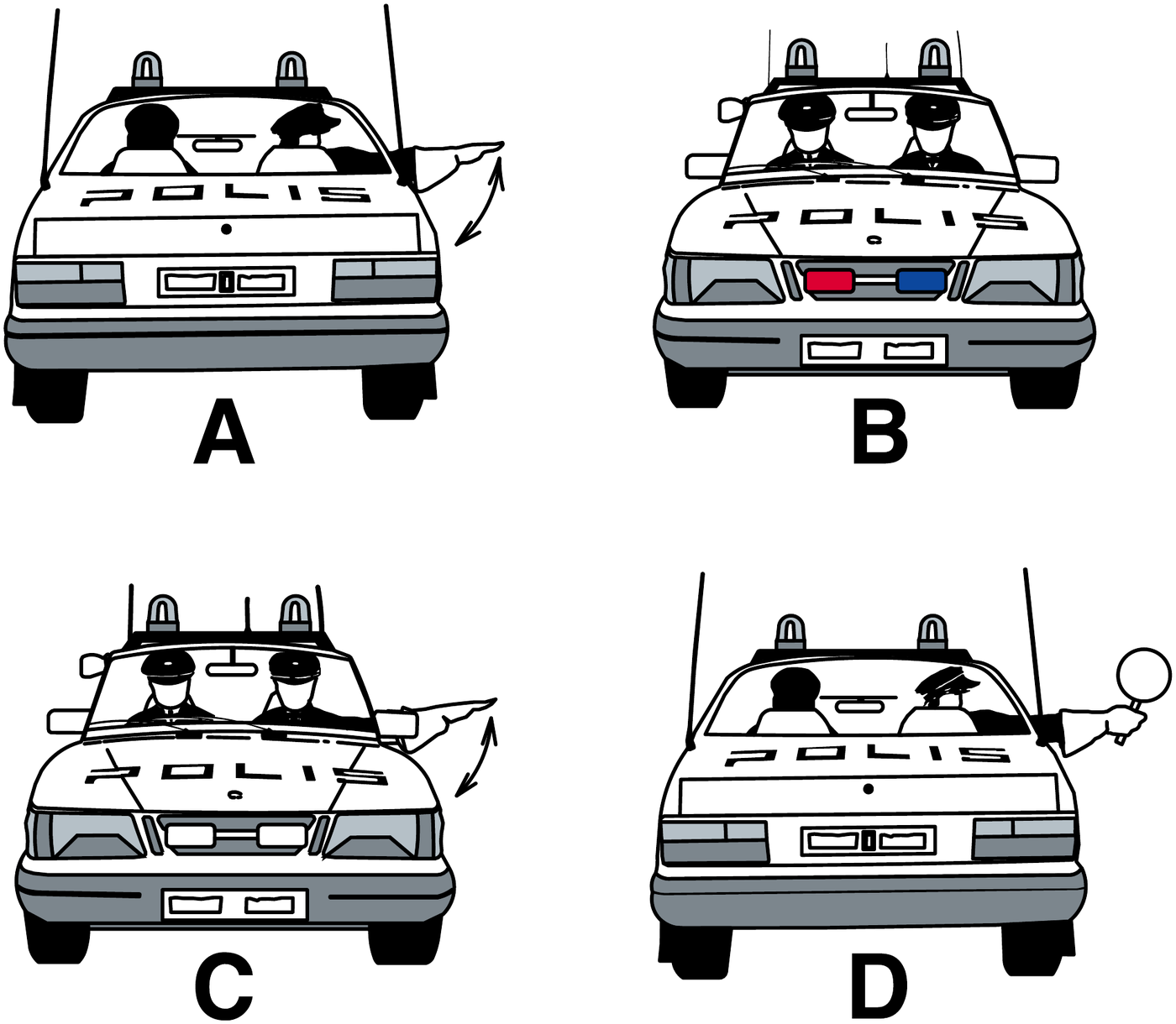 Picture for the question