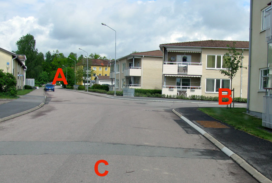 Picture for the question