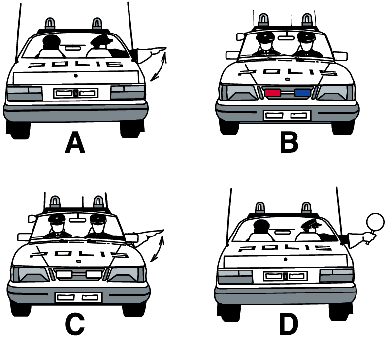 Picture for question 43