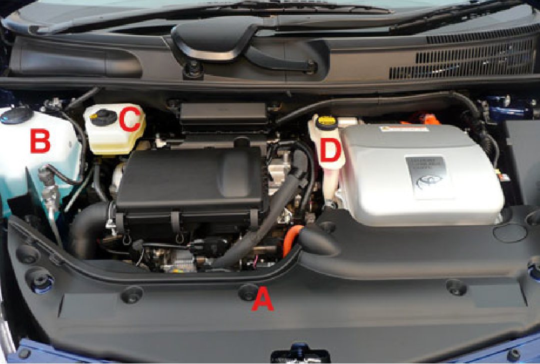 Picture for question 30