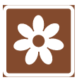 Tourist route (I1)
