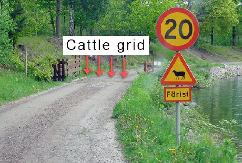 Picture for question 24