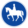 Track for rider on horseback (D8)