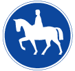 Track for rider on horseback (D8)