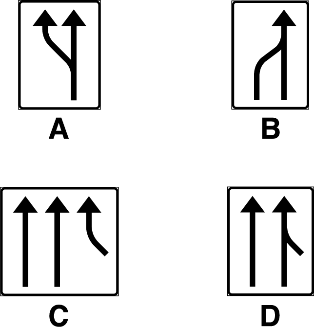 Picture for question 17